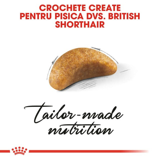 Royal Canin British Shorthair Kitten – Hrană Uscată pentru Pisici Tinere din Rasa British Shorthair – 10 kg